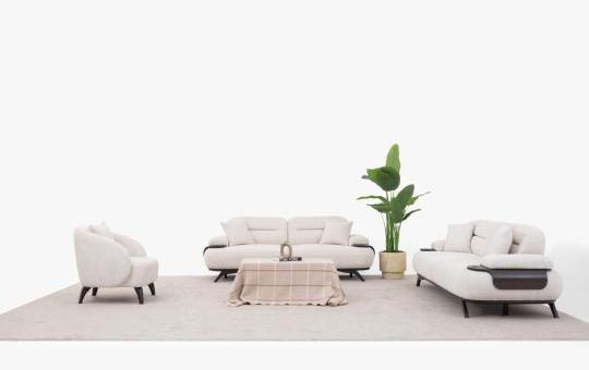 RÜYA KOLTUK TAKIMI1