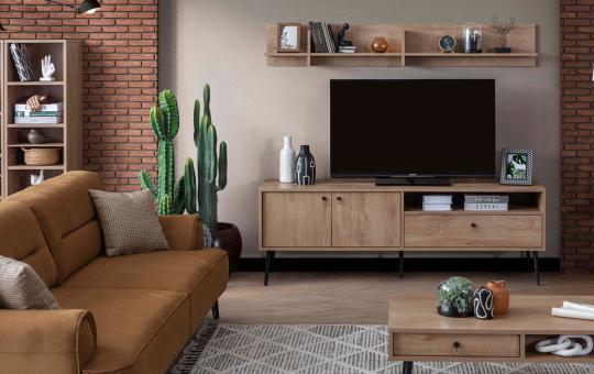Plus Tv Ünitesi